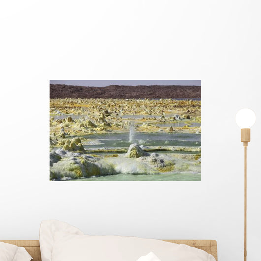 Small Geyser amongst Potassium Wall Decal