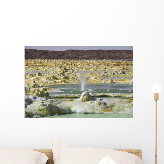 Small Geyser amongst Potassium Wall Decal