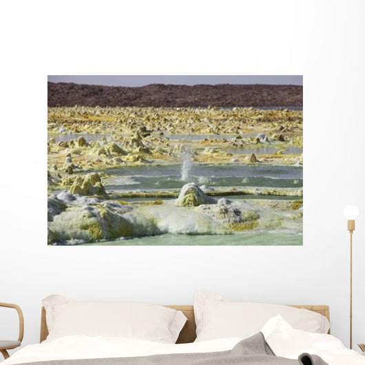 Small Geyser amongst Potassium Wall Decal
