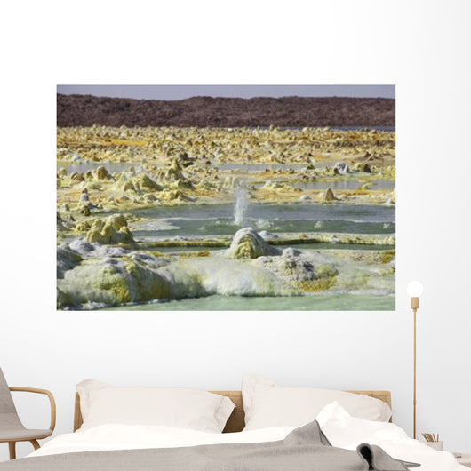Small Geyser amongst Potassium Wall Decal