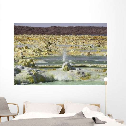 Small Geyser amongst Potassium Wall Decal