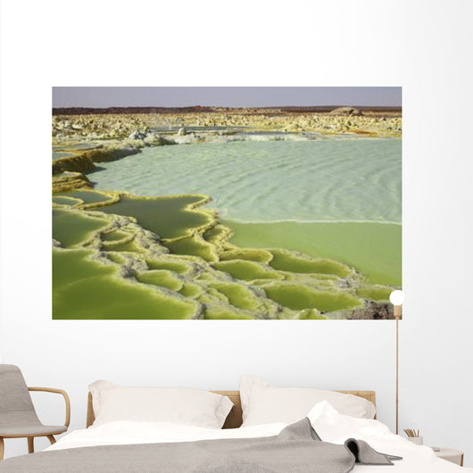 Dallol Geothermal Area Danakil Wall Decal Design 1