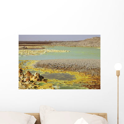 Potassium Salt Deposits Dallol Wall Decal Design 15 shown on a wall