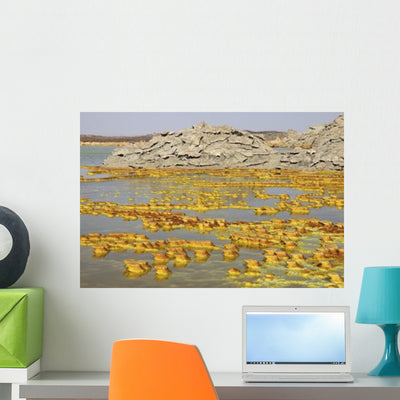 Potassium Salt Deposits Dallol Wall Decal Design 14 shown on a wall