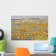 Potassium Salt Deposits Dallol Wall Decal Design 14