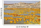 Potassium Salt Deposits Dallol Wall Decal Design 14