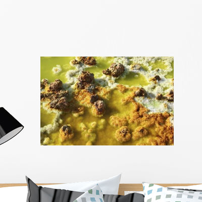 Potassium Salt Deposits Dallol Wall Decal Design 12 shown on a wall