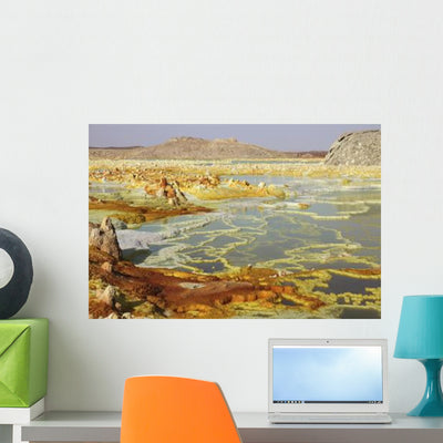 Potassium Salt Deposits Dallol Wall Decal Design 11 shown on a wall