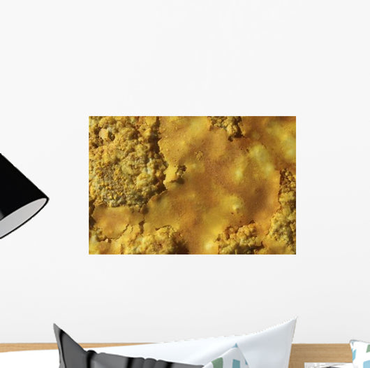 Potassium Salt Crust Dallol Wall Decal