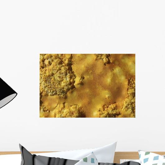 Potassium Salt Crust Dallol Wall Decal
