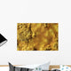Potassium Salt Crust Dallol Wall Decal