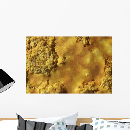Potassium Salt Crust Dallol Wall Decal