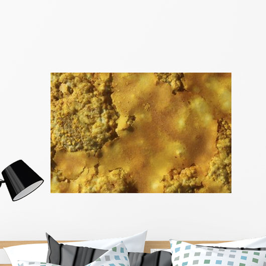 Potassium Salt Crust Dallol Wall Decal
