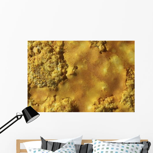 Potassium Salt Crust Dallol Wall Decal