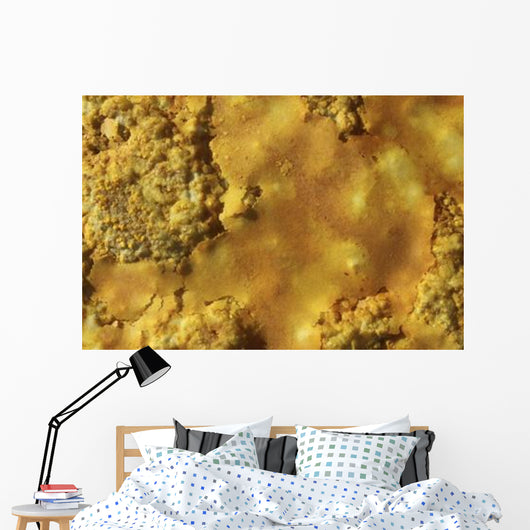 Potassium Salt Crust Dallol Wall Decal