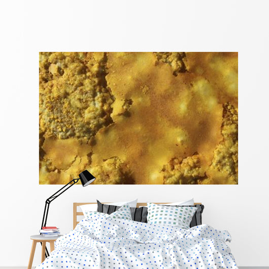 Potassium Salt Crust Dallol Wall Decal