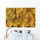 Potassium Salt Crust Dallol Wall Decal