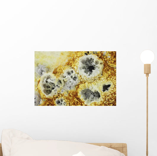 Fumaroles Potassium Salt Deposits Wall Decal