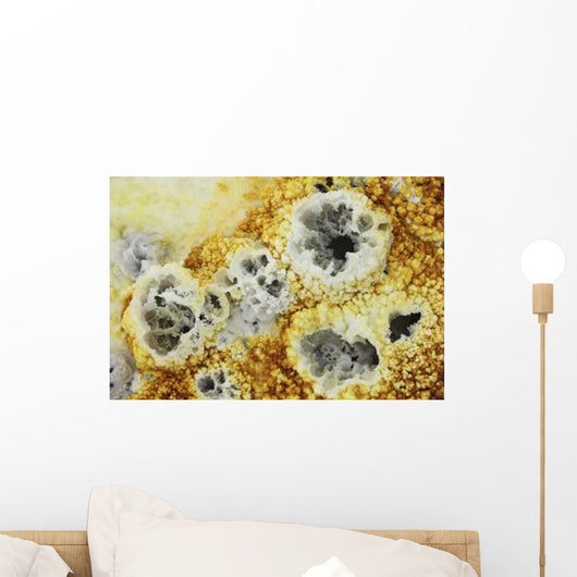 Fumaroles Potassium Salt Deposits Wall Decal