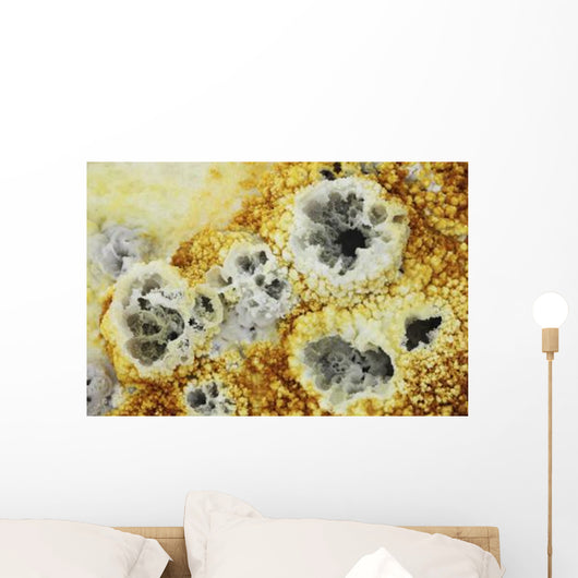 Fumaroles Potassium Salt Deposits Wall Decal