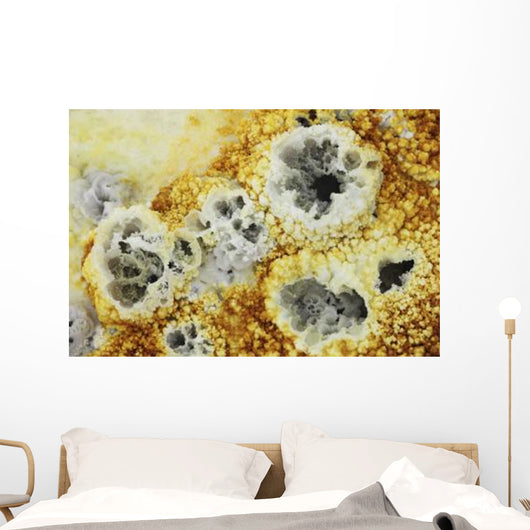 Fumaroles Potassium Salt Deposits Wall Decal