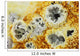 Fumaroles Potassium Salt Deposits Wall Decal