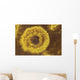 Potassium Salt Deposits Dallol Wall Decal Design 10