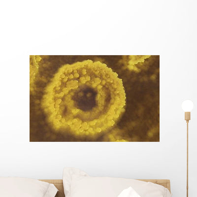 Potassium Salt Deposits Dallol Wall Decal Design 10 shown on a wall