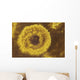 Potassium Salt Deposits Dallol Wall Decal Design 10