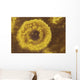 Potassium Salt Deposits Dallol Wall Decal Design 10