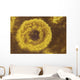 Potassium Salt Deposits Dallol Wall Decal Design 10