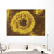 Potassium Salt Deposits Dallol Wall Decal Design 10