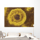 Potassium Salt Deposits Dallol Wall Decal Design 10
