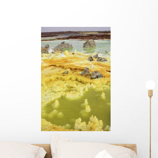 Potassium Salt Deposits Dallol Wall Decal Design 8