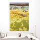 Potassium Salt Deposits Dallol Wall Decal Design 8