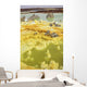 Potassium Salt Deposits Dallol Wall Decal Design 8