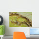 Potassium Salt Deposits Dallol Wall Decal Design 7