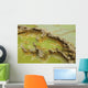 Potassium Salt Deposits Dallol Wall Decal Design 7
