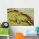 Potassium Salt Deposits Dallol Wall Decal Design 7