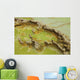 Potassium Salt Deposits Dallol Wall Decal Design 7