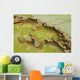 Potassium Salt Deposits Dallol Wall Decal Design 7