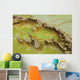 Potassium Salt Deposits Dallol Wall Decal Design 7
