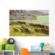 Potassium Salt Deposits Dallol Wall Decal Design 6