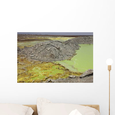 Potassium Salt Deposits Dallol Wall Decal Design 5 shown on a wall