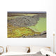 Potassium Salt Deposits Dallol Wall Decal Design 5