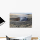 Pit Crater Harboring Lava Wall Decal