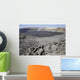 Crater Floor Covered with Wall Decal
