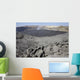 Crater Floor Covered with Wall Decal