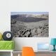 Crater Floor Covered with Wall Decal