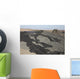 Basaltic Lava Flow from Wall Decal Design 3